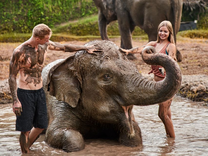 altara-bali-zoo-elephant-01