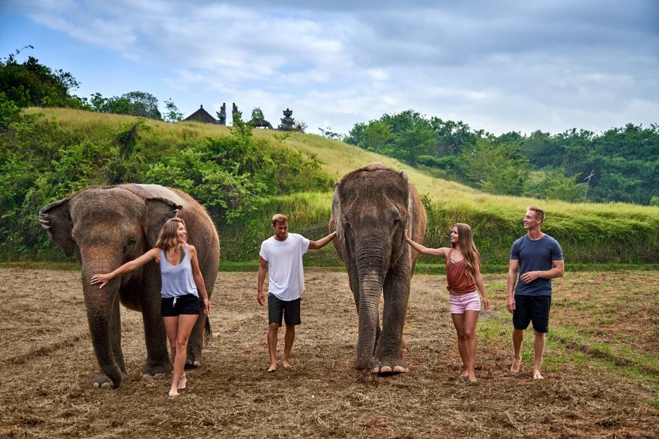 altara-bali-zoo-elephant-03